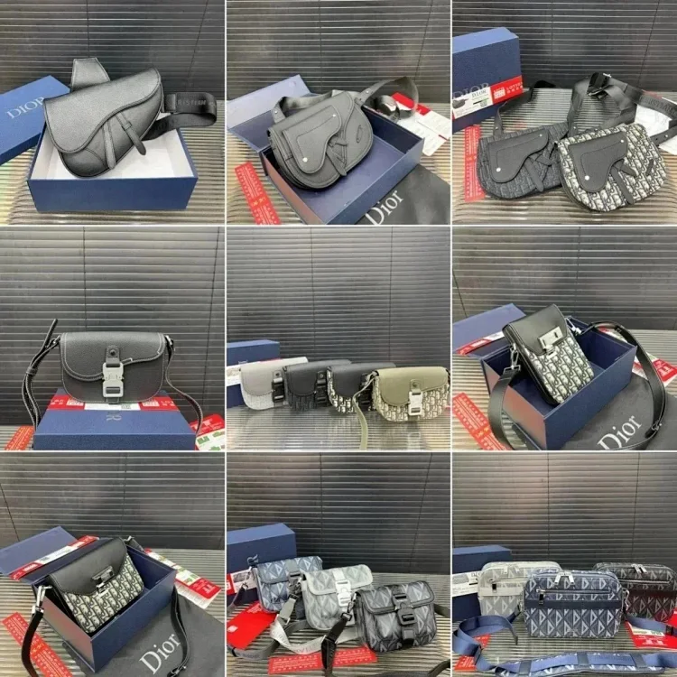 Dior camera bag